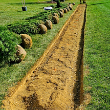 Privacy-Tree-Landscaping-Installation-in-Richmond-KY 0